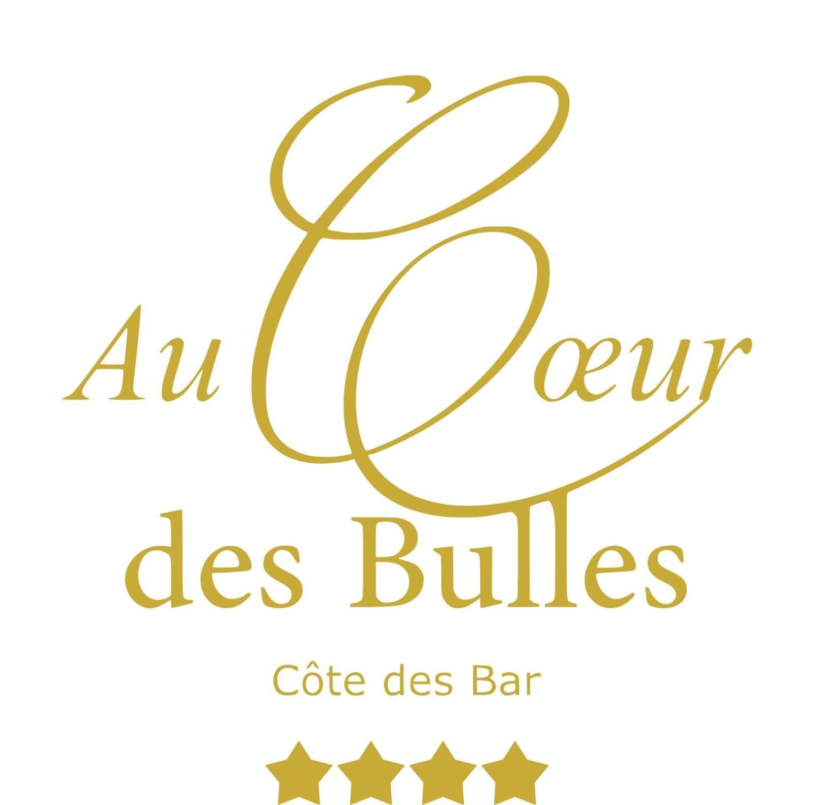 Au Coeur Des Bulles Hotel Loches-sur-Ource Buitenkant foto